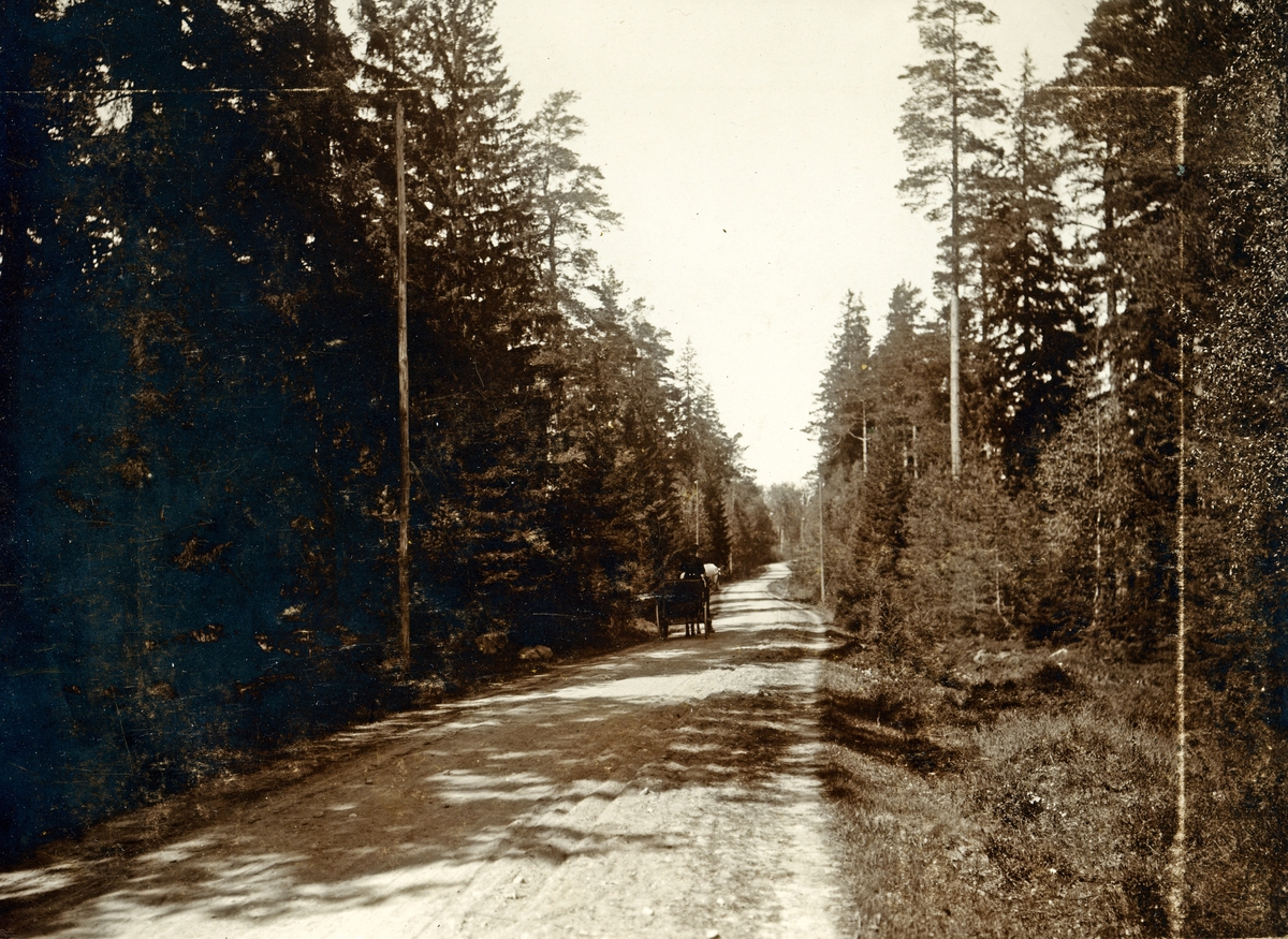 Hästskjuts på Kronobergsvägen. Ca. 1913, Växjö.