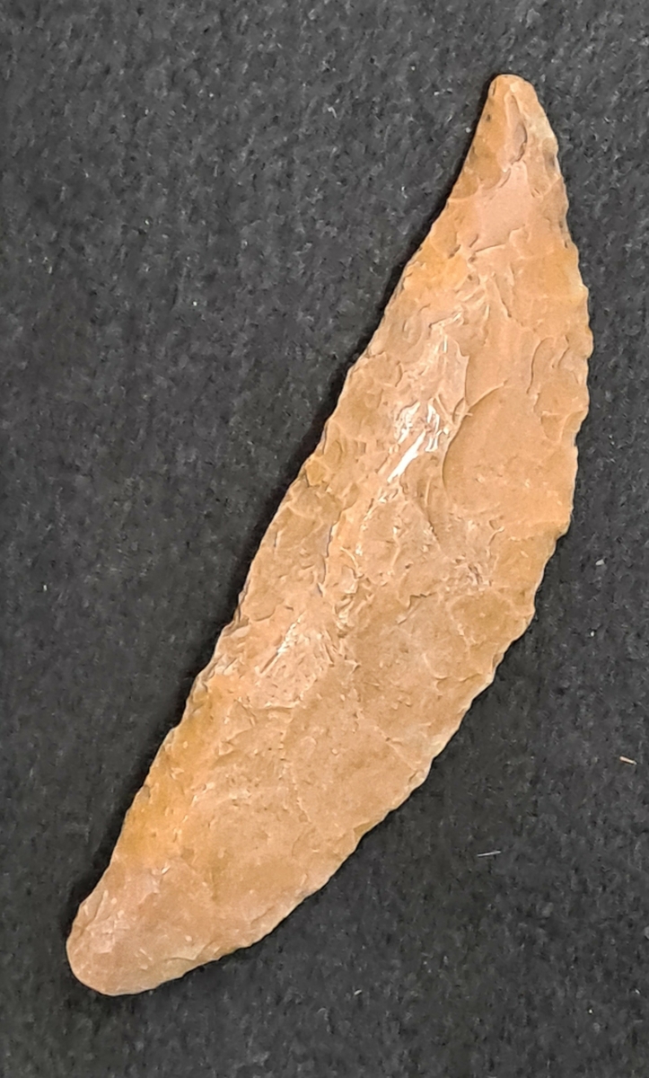 10 249 Kronogården, Särestad socken, Västergötland.

Flintskära, 1 st. av ljusbrun flinta. Rak egg. L. 11,5 cm, br. 3,3 cm.