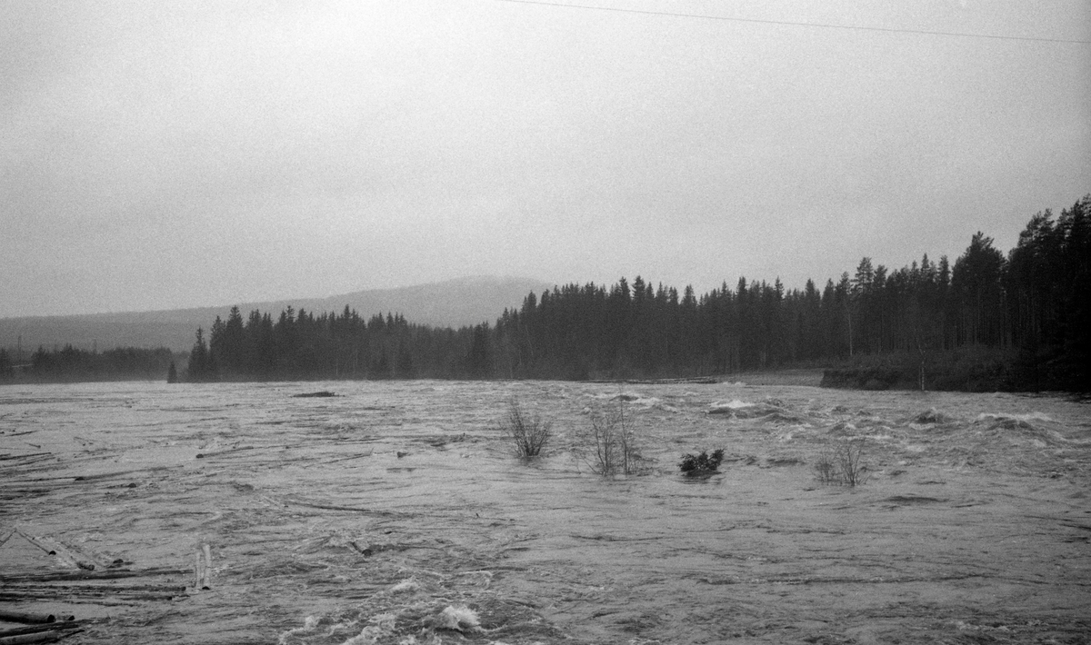 Elveløp med tømmer. Flom ved Valby bro i elva Flisa, Åsnes, Hedmark.