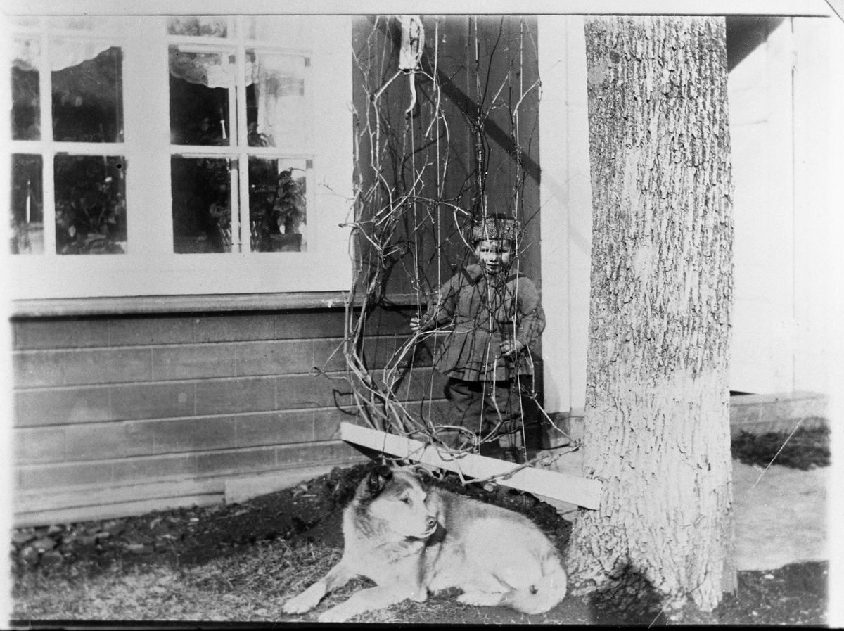 Hund og gutt foran hoveedbygningen på gården Evenrud på Kapp 1902-03. Gutten er Sverre Raabe, og hundens navn var Max.