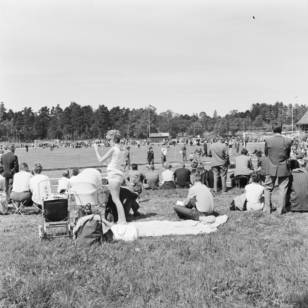 Lantbrukshögskolan, hästpremiering vid Ultuna, Uppsala 1964
