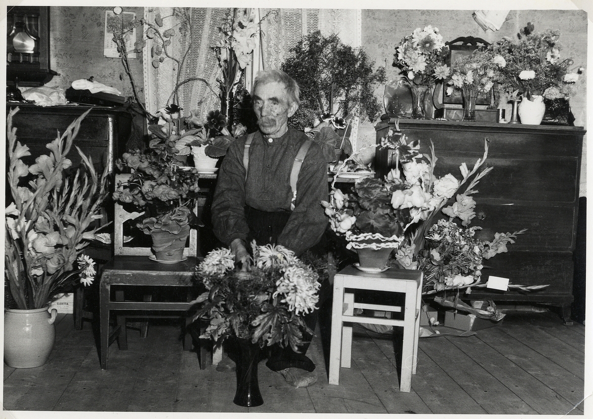 En äldre man sitter i sitt vardagsrum, omgiven av blommor, 1954 (?).