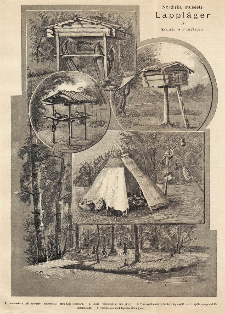 Teckning av C. Palm i tidningen Svea nr 40 1891 3/10. Rubriken lyder: ”Nordiska museets Lappläger på Skansen å Djurgården”.