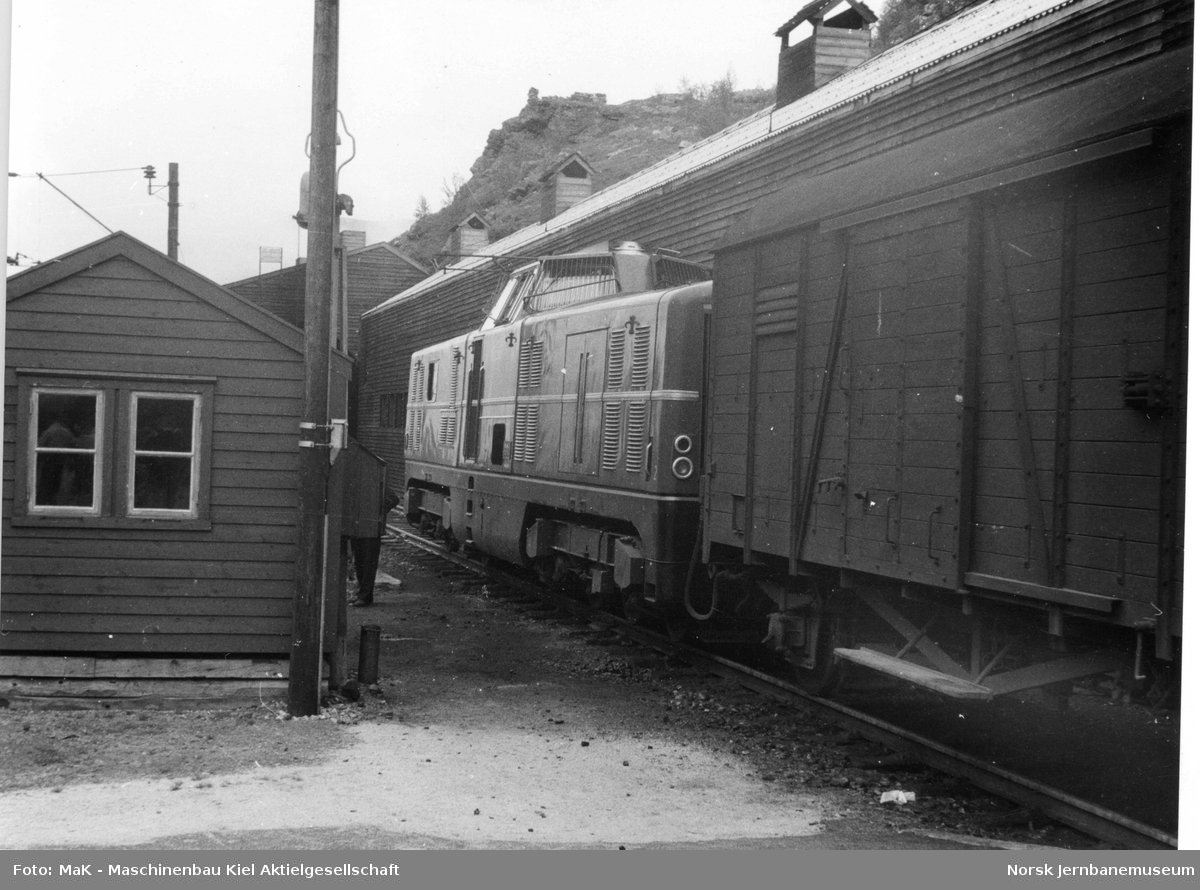 Tysk diesellokomotiv MaK 2000 001 med dagtoget fra Bergen til Oslo Ø, tog 602, på Myrdal stasjon. Lokomotivet var på prøvedrift i Norge