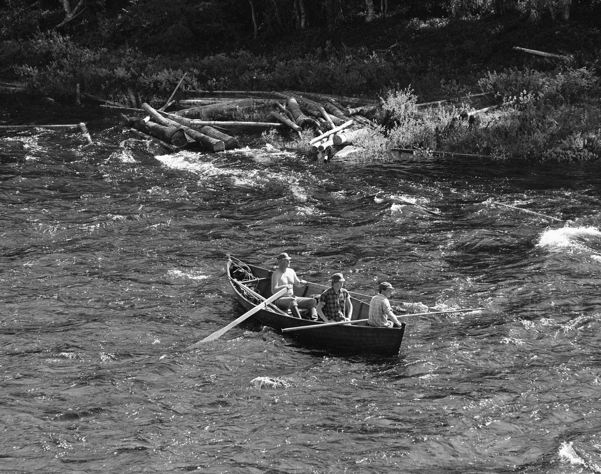 Sluttrensk i elva Stor-Grøna i Trysil, Hedmark. Fløtere i båt på vei ned elva for å løsne tømmer som har lagt seg langs elvebredden.