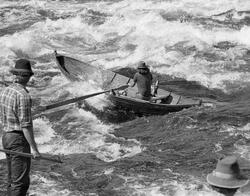 En tømmerfløtere, fotografert mens han rodde en båt ned Pres