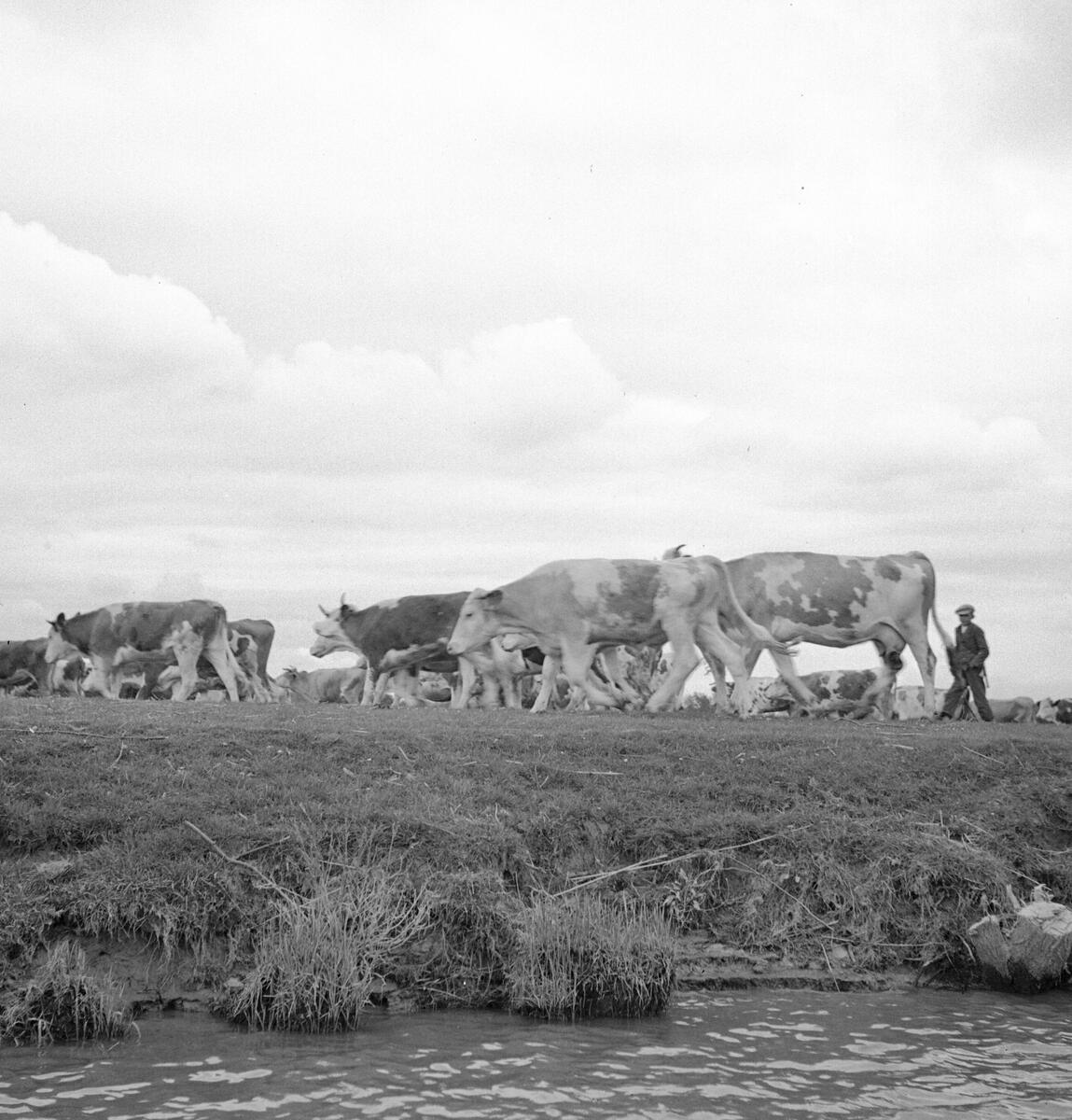 Kor i Ráró, sett från vattnet. Tjeckoslovakien-Ungern-Österrike 1935 ...