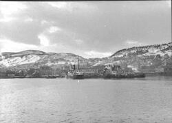 Dampskipene "Blenheim", "Dyrøy" og "Ørnulf ved kai i Harstad