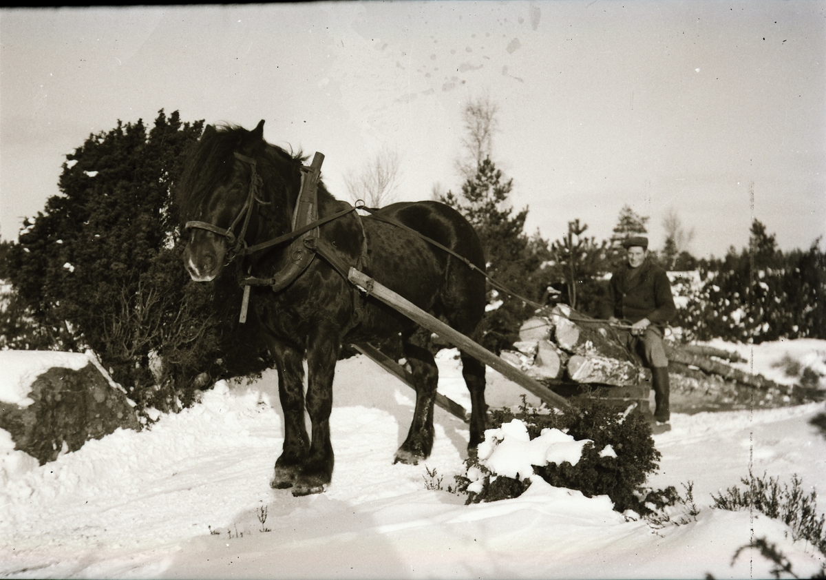 Karl Snygg sitter på ett timmerlass draget i snön av en häst.