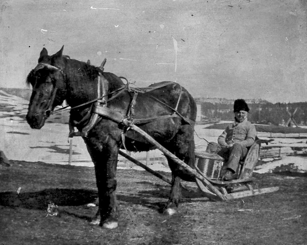 Mann med hest og slede
