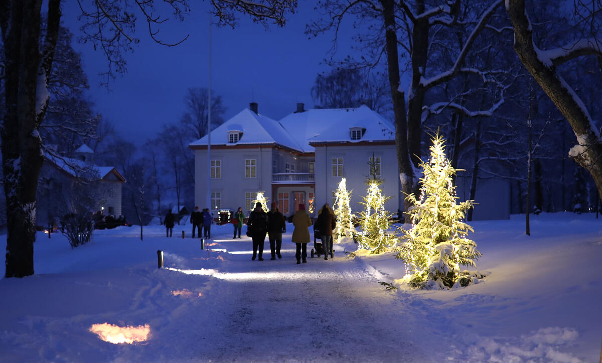 Eidsvollsbygningen i blåtimen, skumring, snø på bakken og en rekke med jultrær står med lys på langs gangvegen inn til bygningen.