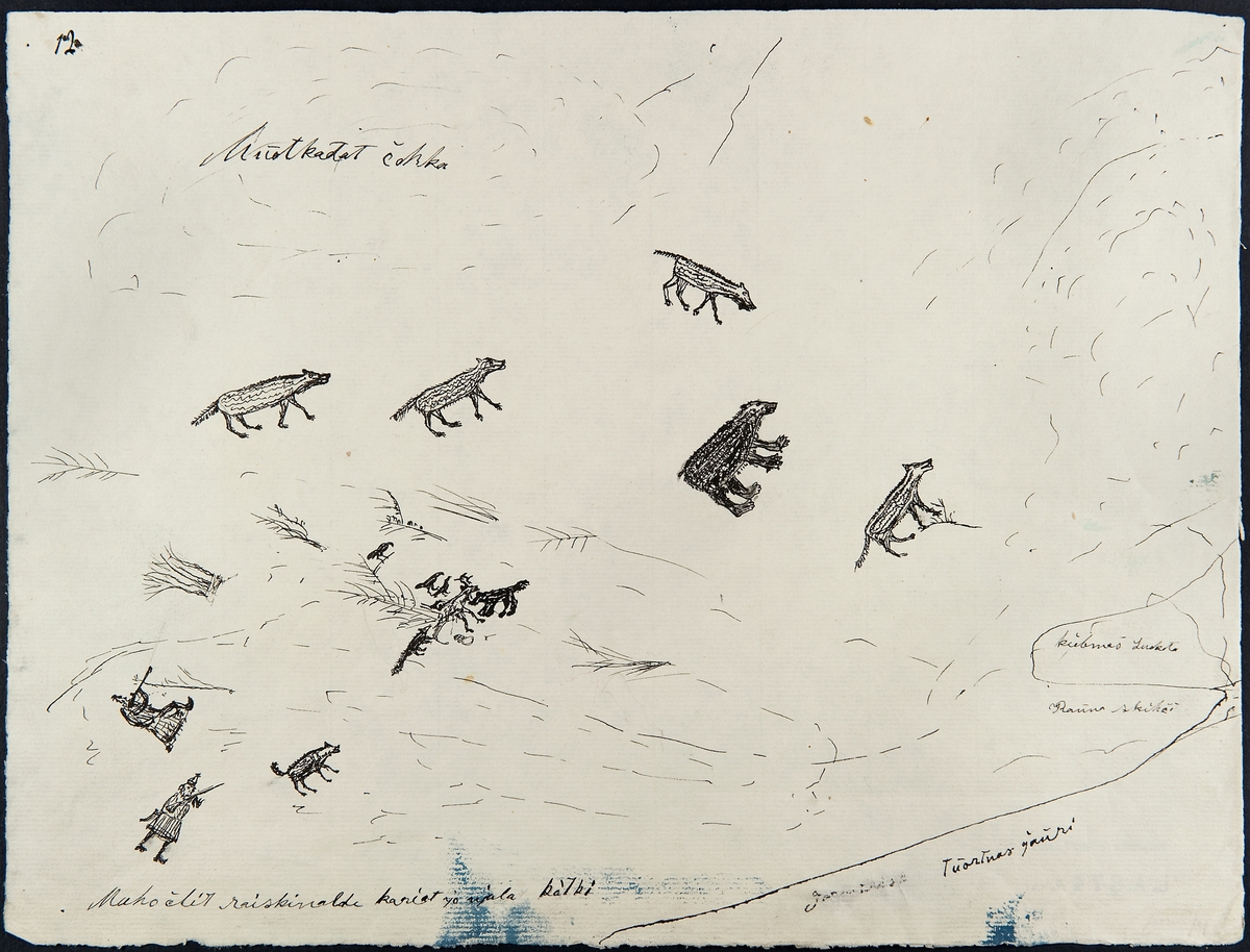 Teckning av Johan Turi. "Skilda lappmarker". Jaktmotiv med vargar och björnar samt korpar. Samer med vapen och hundar. L.A. 874 nr. 4.