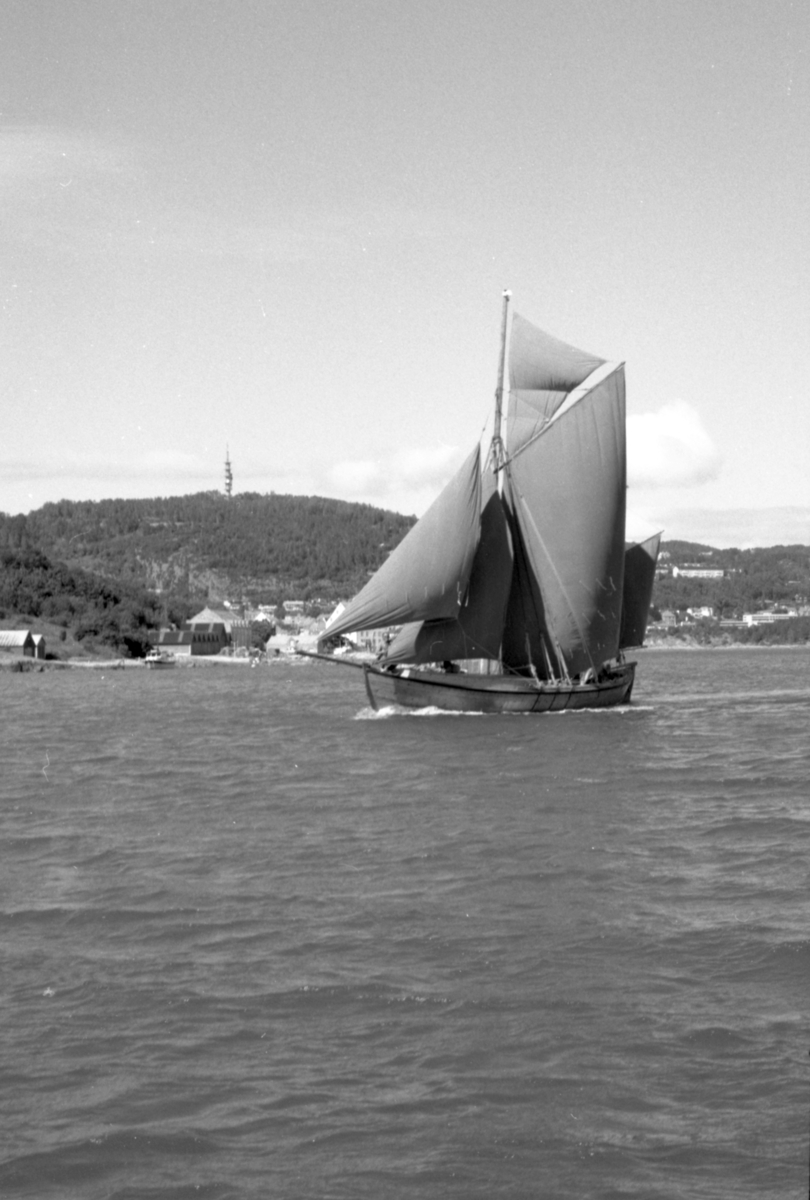 Motiv av en trebåt med seil fra båttreffet ved Sunnmøre Museum 1990.