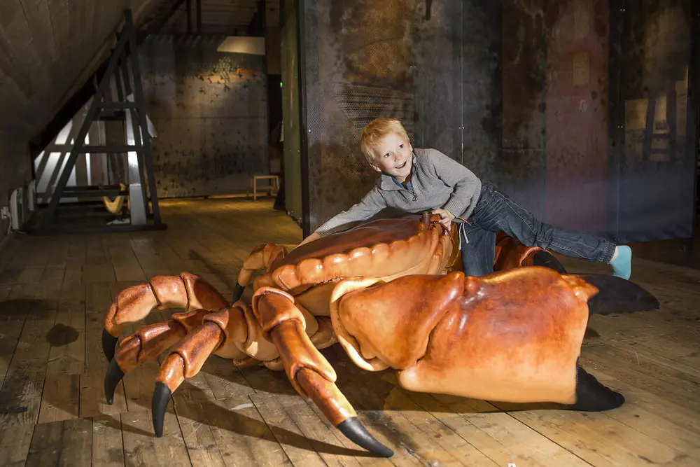 En gutt som leker med kjempekrabben i utstillingen det eventyrlige fisket på Norges Fiskerimuseum