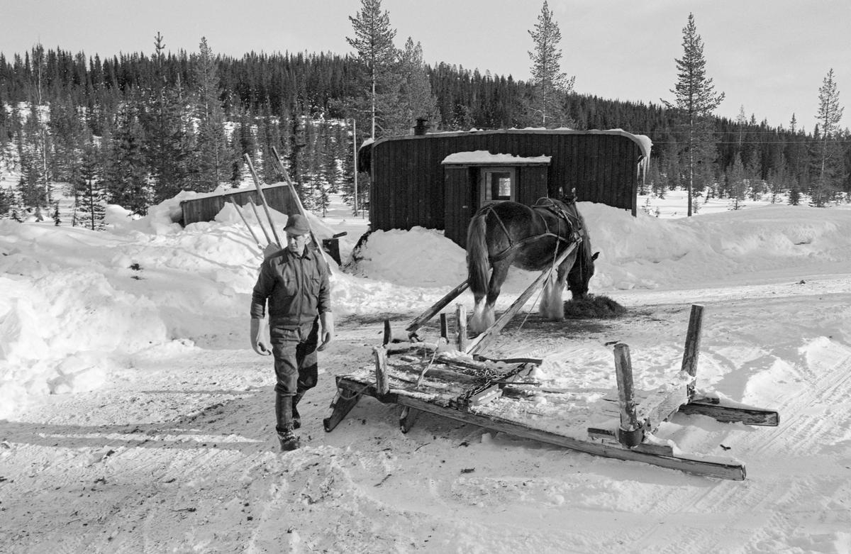 Bilde tatt i forbindelse med tømmerkjøring med hest i Lundsberget i Trysil, Hedmark. Kjører er Kåre Østerhaug (1916-1981). Tømmersleden han brukte var en såkalt «rede», en svensk sledetype som ble utviklet for transport av massevirke i tre meters lengder. Denne sledetypen ble en del brukt i grensebygdene Trysil og Engerdal fra begynnelsen av 1960-åra og framover.