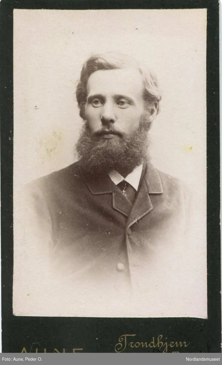 Portrettbilde av mann med skjegg. Severin Tresseng, Åmot i Østerdalen.