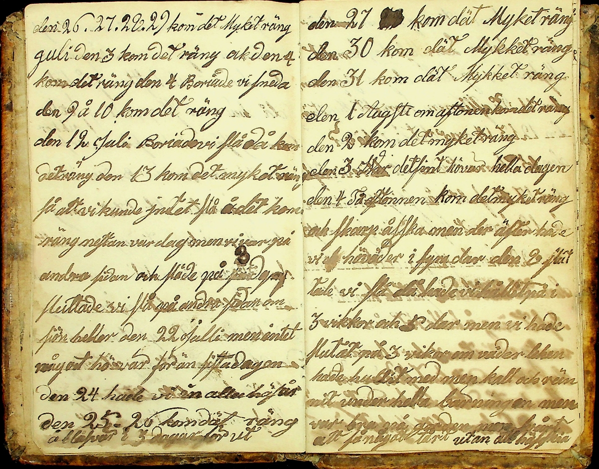 Dagbok från Mattsesgården, Norra Strandmora, skriven under åren 1843-1891. 
Innehåller bl.a. räkenskaper och anteckningar om jordbruksarbete och resor.