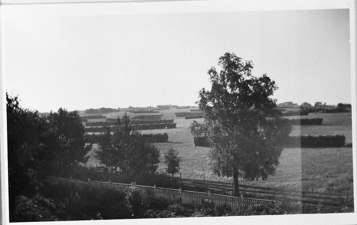 Landskap med høy på hesjer. Gran Gård i Kolbu antatt 1934.