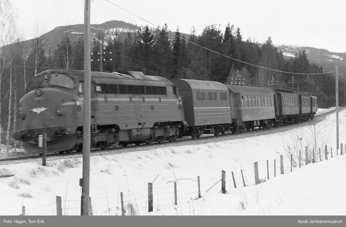 Diesellokomotiv Di 3 med ekstra tomtog fra Røros til Oslo S nord for Koppang stasjon