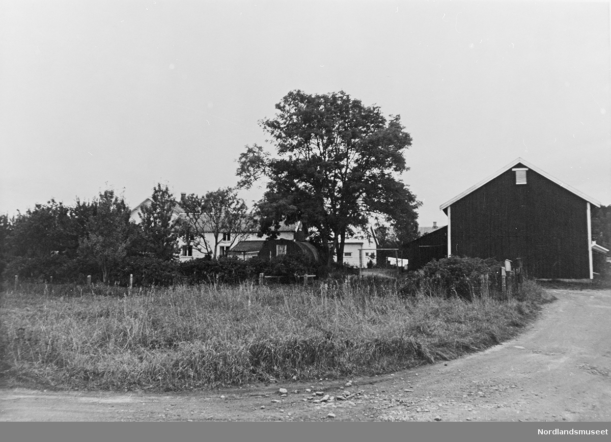Bodøgård. Fjøs/låve til høyre med røstet i mot. Gårdsvei foran. Til venstre for driftsbygningen lenger bak skimtes hovedbygningen gjennom noen trær.