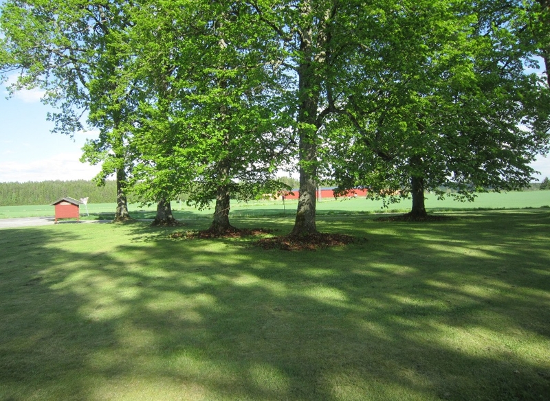 Hemnes gamle kirkegård