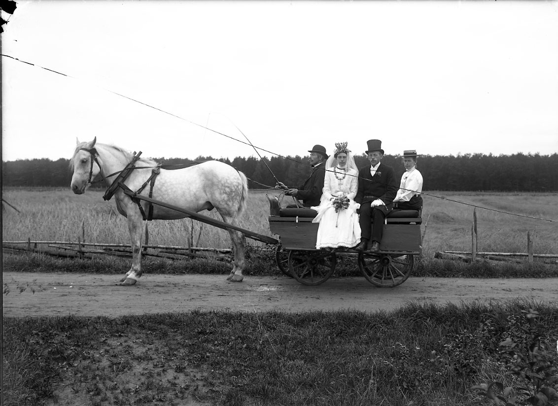 Häst med vagn - ett remmalag - med ett brudpar sittande mot fotografen.
