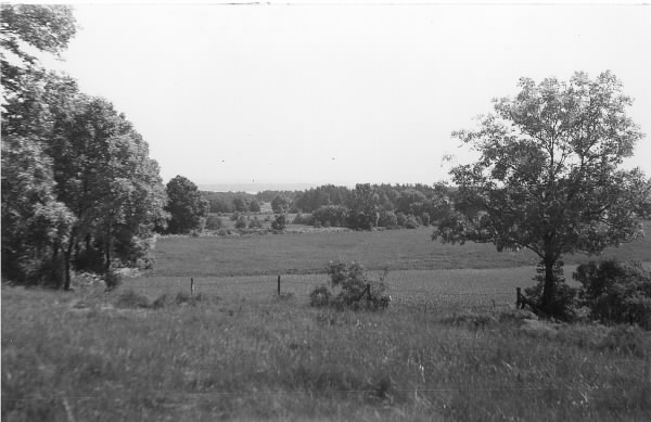 Betesmark/ängsmark från Rydet i Onsala, mot norr.