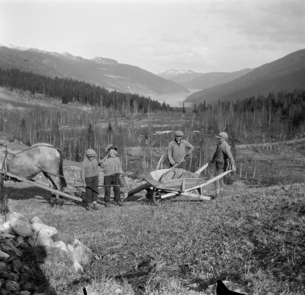 Våronn i Haukdalen med mann som pløyer med hest, samt tre gutter med rake, spade og trillebår. I bakgrunnen, nydyrkinga Myra og Vågåvatnet