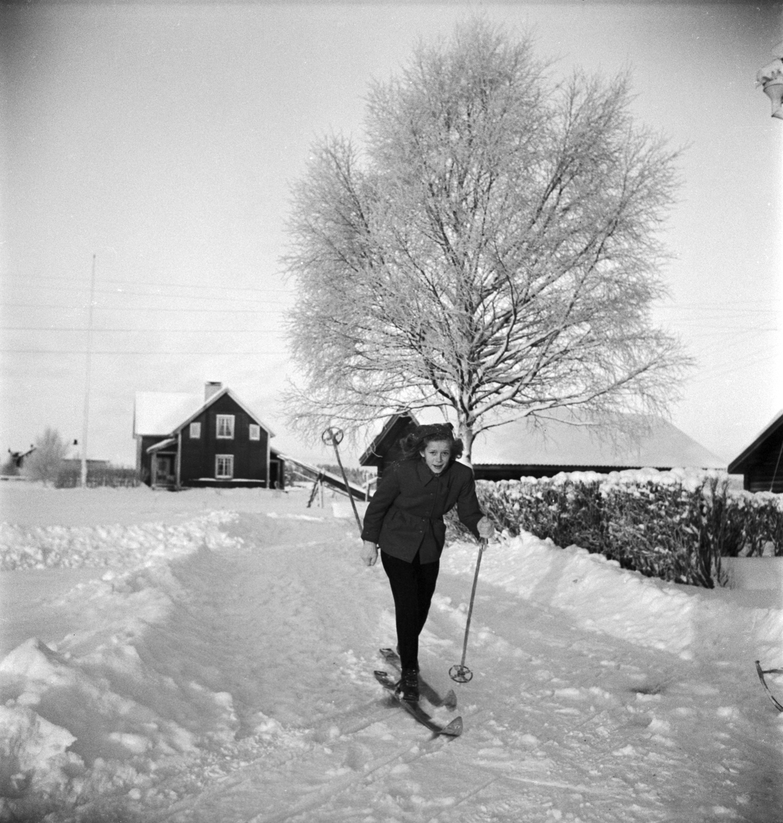 Kvinna åker skidor, Våsjö