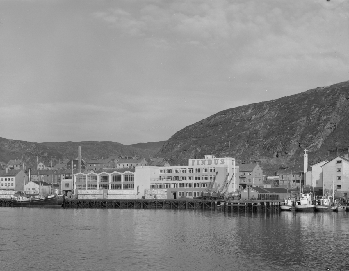 Lokalene til Findus, sett fra sjøen. Fotografert i august 1960.