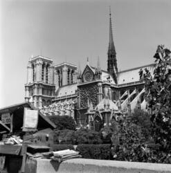 Paris Sacré Coeur & Notre-Dame