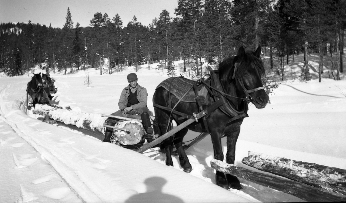 Fotosamling etter Kjetil Skomdal (1881-1971). Fotografen virket i perioden 1910 til 1960 og hadde eget mørkerom hvor han også tok imot film fra andre fotografer. I perioden var han også postbud i Fyresdal. Motiv fra tømmerkjøring med hest.