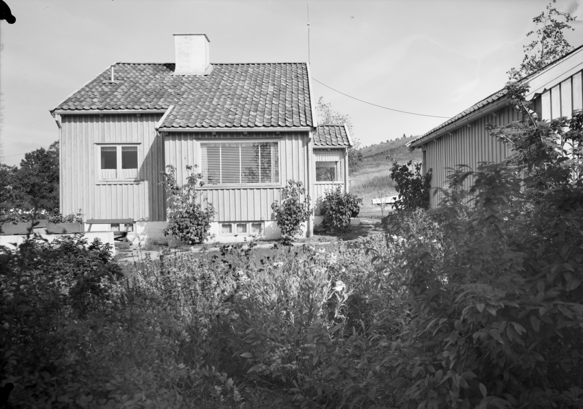 Boligene for Drammen glassverk er presentert i Byggekunst nr. 1 1950, under overskriften ”Nytt boliganlegg for Drammens glassverk”. Arkitekter Biong & Biong, byggeår ca. 1947. Prosjektet innebar både oppgradering av gamle arbeiderboliger og bygging av nye.