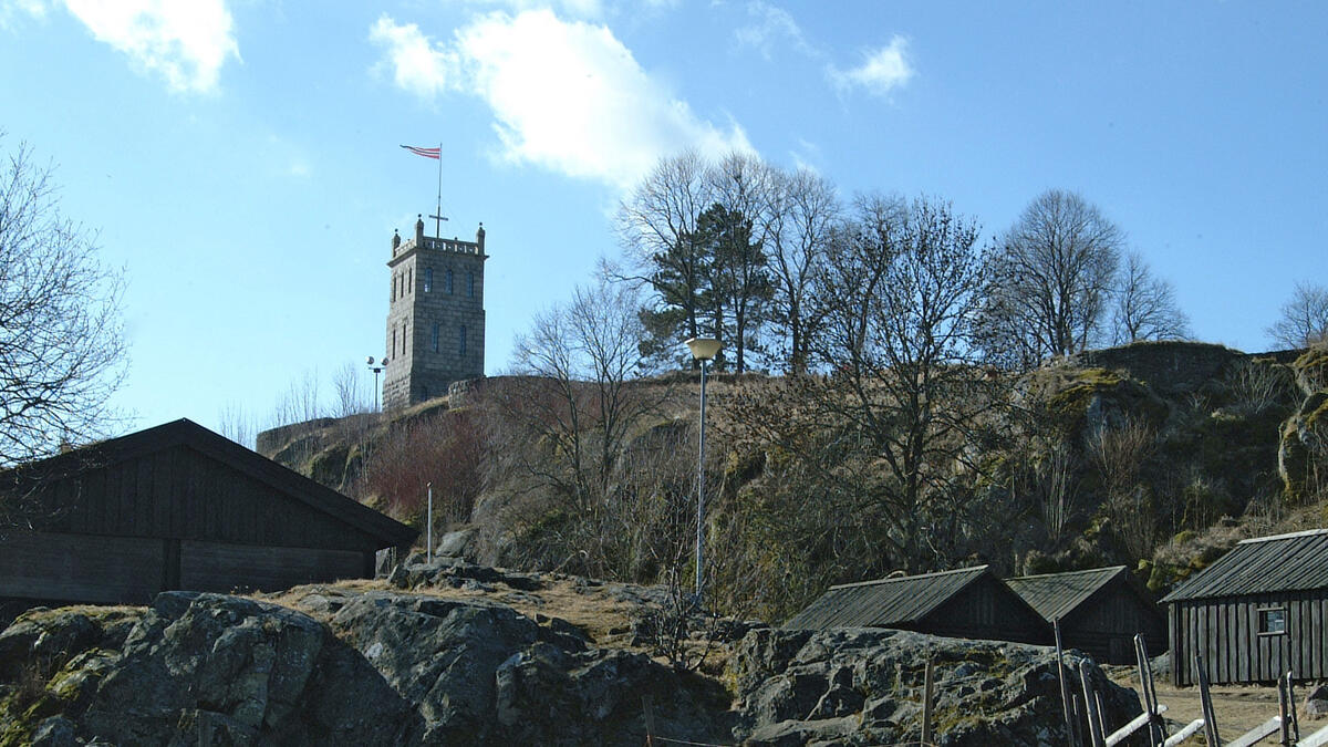 Bildet viser Slottsfjellet og tårnet.