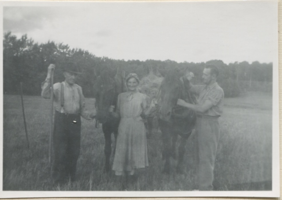 Höbärgning 1940-tal. Från vänster Anders (1873-1951) och Hilda Sandberg (1887-1973) samt en okänd man, "Sandbergs" Sagered 3:3 1940-tal. Två arbetshästar står med.