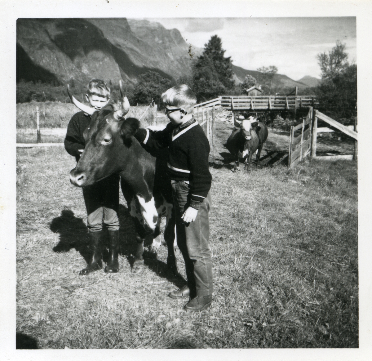 Tvillingane Arne og Ragnar Eltun på Øynad'n i Rødalen. Desse to tvillingane er brødrene til Olav T. Eltun f. 1938