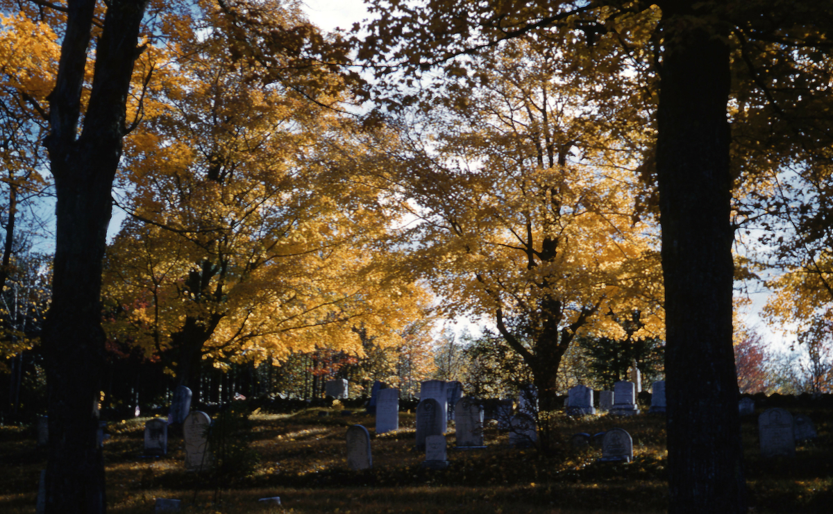 Kirkegård løvtrær høst