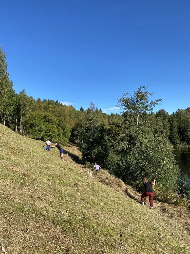 Staben ved Anno Kongsvinger raker etter slåtten i kulturlandskapet i Oppistun Børli.