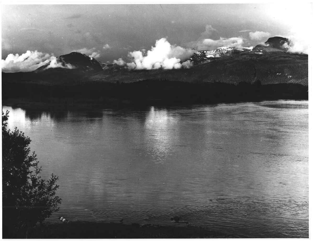 Øverbygd, Målselv, Skjold, Troms DEXTRA Photo / DigitaltMuseum