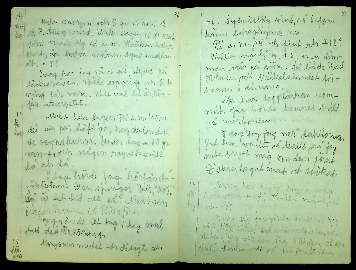 Dagbok skriven år 1957 av Rällsjö Brita på Rällsjögården i Bjursås socken. Innehåller anteckningar om bl.a. hushålls och jordbruksarbete, väderleksmärken, diverse observationer (komet, norrsken, Sputnik I och II).