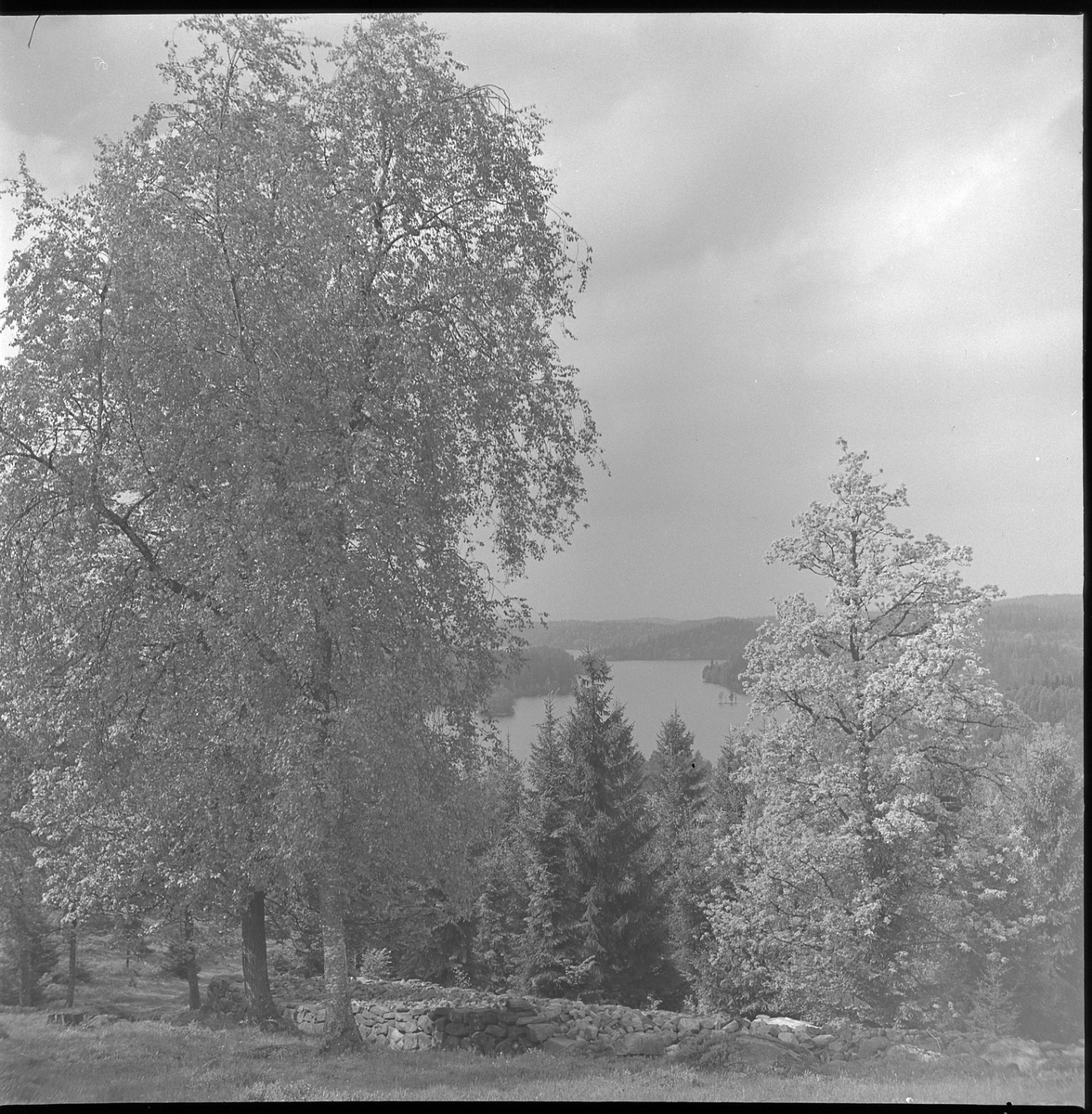 Vy från Ödenäs ned mot sjön Ömmern. 21 maj 1950