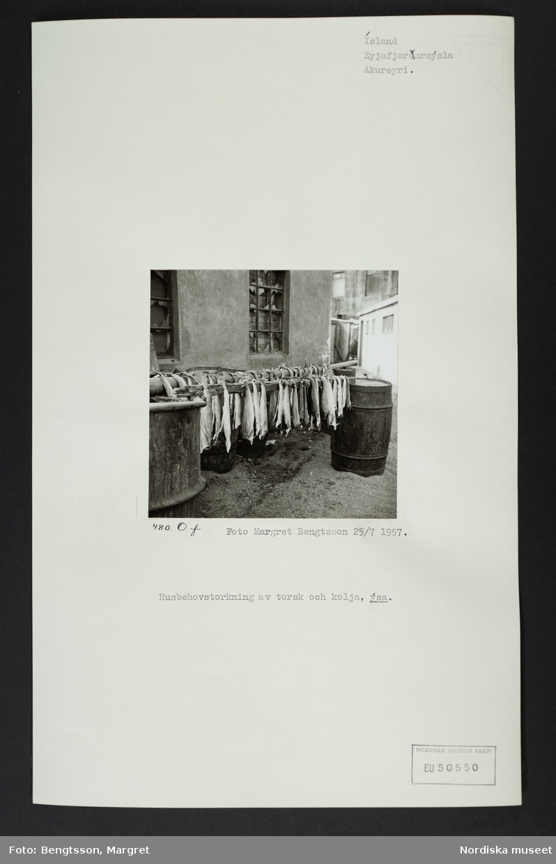 Ark med monterat foto och text: "Husbehovstorkning av torsk och kolja, ýsa."