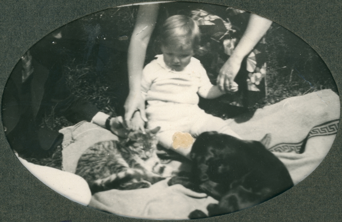 Barn som sitter på en filt tillsammans med en katt och en hund