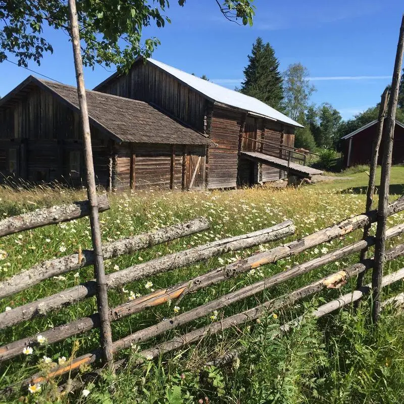 Låven på Eidskog bygdetun Almenninga. Brun låve med låvebru. Blomstereng foran låven. Skigard i forgrunn.