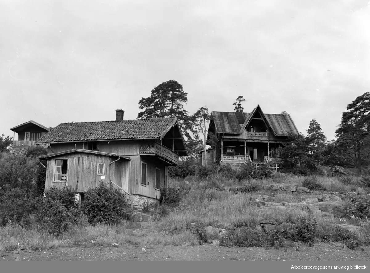 Sommerparadiset Langøyene. Kondemnerte sommerhus som nå skal rives. Juli 1951