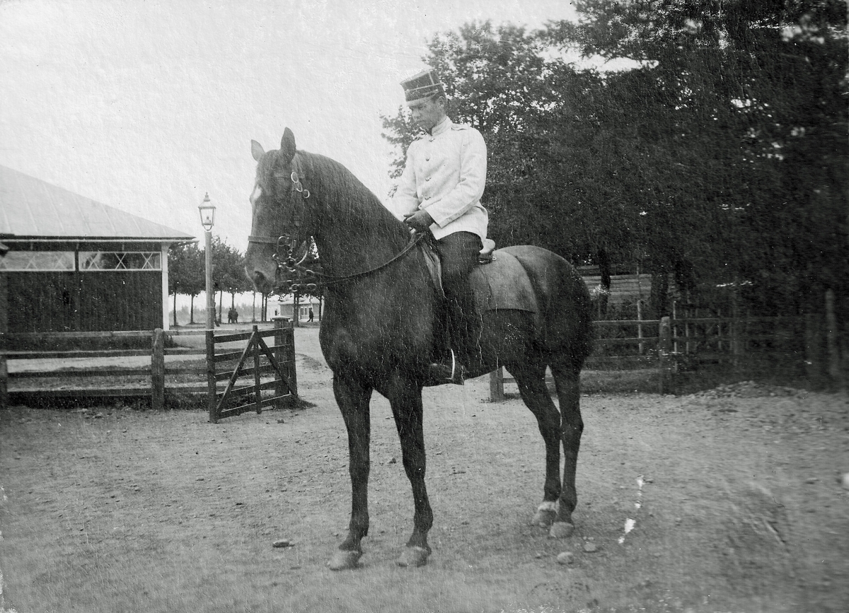 Sandalh på "Curry".
(Foto ur löjtnanten vid Skaraborgs regemente, I 9, Karl af Geijersstams fotoalbum från Axvall 1911.)