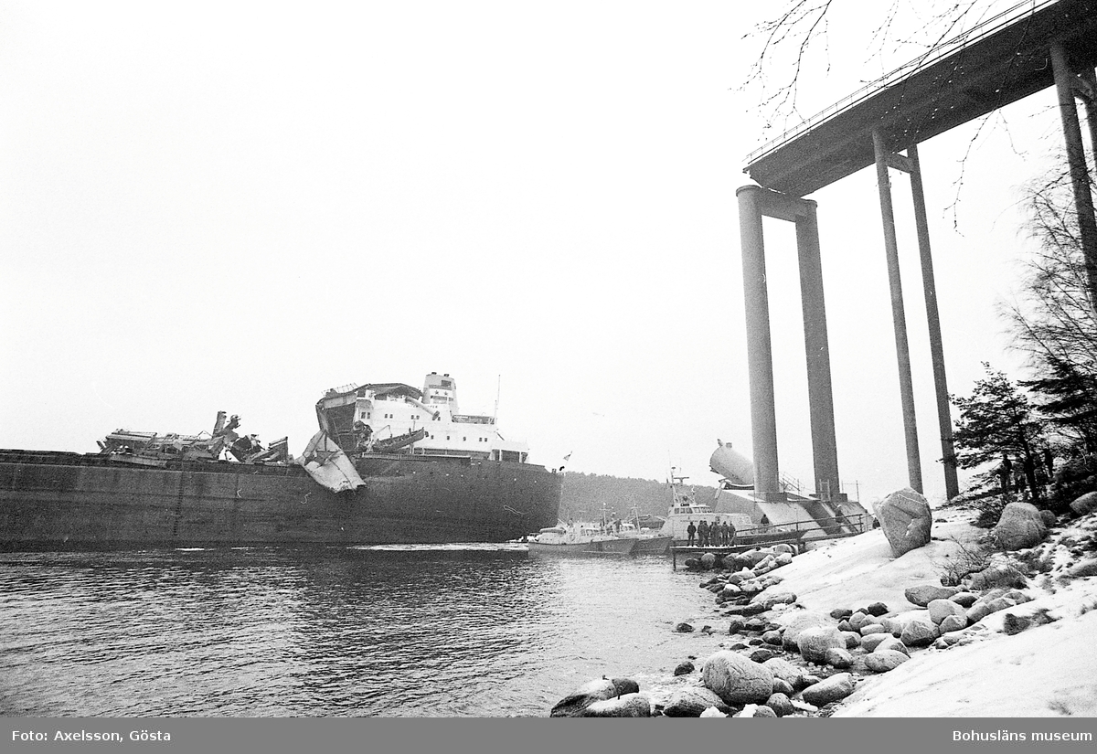 Från olyckan då Almöbron, även kallad Tjörnbron, raserades av fartyget Star Clipper