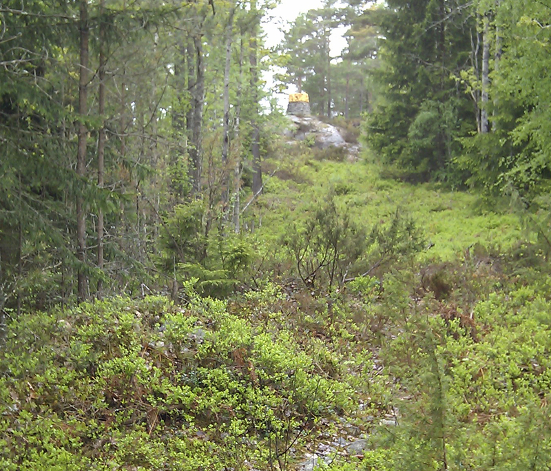 Korsgårds hus, spisröse och gränsgata.