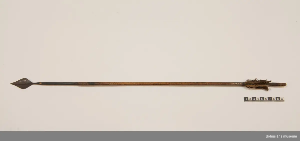 Ur handskrivna katalogen 1957-1958:
13 st pilar, Kongo, Afrika
Samtliga har 5 styrfjädrar utom "810 g". och bred tunn järnspets.
a - g L.73,7; 73,5; 71,3; 70,0; 69,2; 67,8 cm på skaftet bakom spetsen är kraftiga hullingar, skurna ur samma trästycke som skaftet.
h - j; L 74; 73,7; 66,5 cm; bakom spetsen hullingar, gjorda enbart genom enkla hack i träet.
k -m; L. 73,2; 72,3; 69,8 cm; hullingar saknas helt. Samtl. pilar ngt trasiga.

Lappkatalog: 9

Ur Knut Adrian Anderssons Katalog II 1916:
No 10, Tretton förgiftade pilar nedtill besatta med fjäder rader (68-72 cm) Obs! De är uppsatta i bredd över dörren åt öster. Från Kassai i Kongo. Insamlade därstädes och skänkta av löjtnant A. Hoppenrath 1895.
