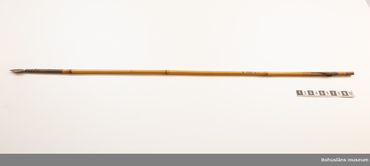 Ur handskrivna katalogen 1957-1958:
Pilar 9 st.
med skaft av bamburör. Tunna, breda järnspetsar fästade med surrning. Styrning med infällda läderbitar L 62.5 - 67,5 cm 

Lappkatalog: 10
